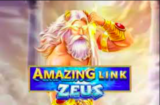 Amazing Link Zeus