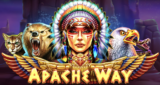 Apache Way